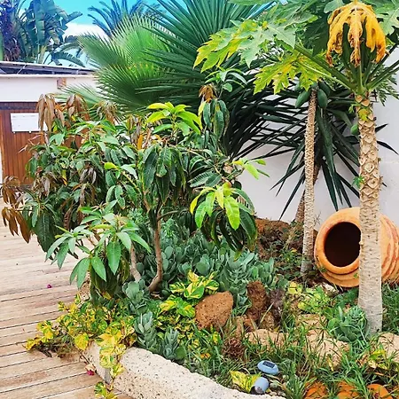 Ferienhaus Beautiful With Wifi And Free Parking Arona (Tenerife)
