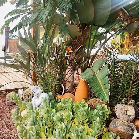 Beautiful With Wifi And Free Parking Ferienhaus Arona (Tenerife)