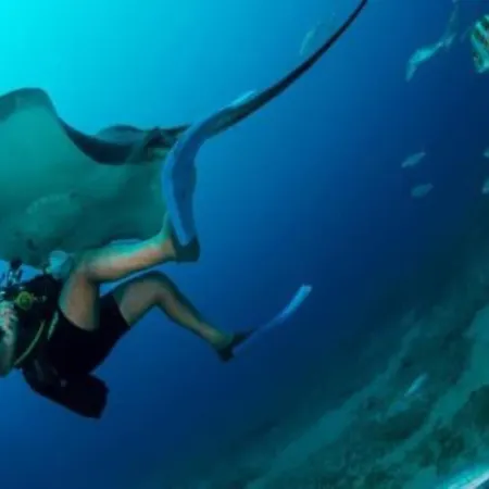 Beautiful With Wifi And Free Parking * Arona (Tenerife)