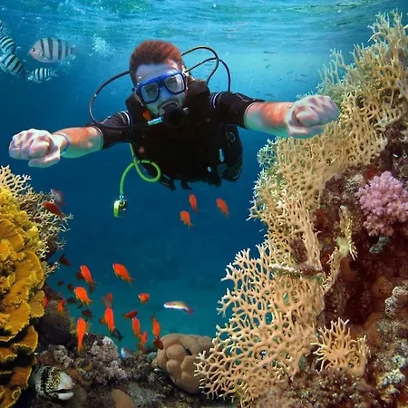 Tatil Evi Beautiful With Wifi And Free Parking Arona (Tenerife)